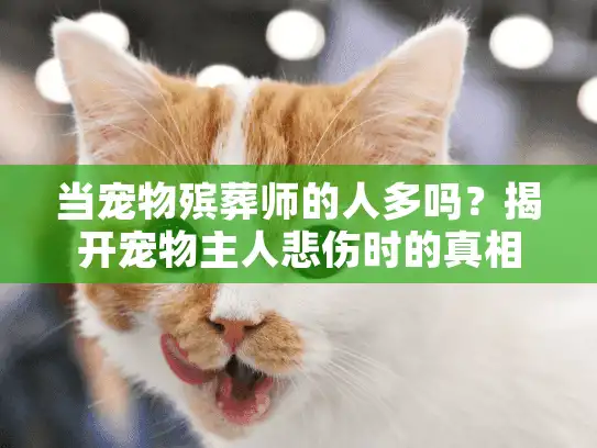 当宠物殡葬师的人多吗？揭开宠物主人悲伤时的真相