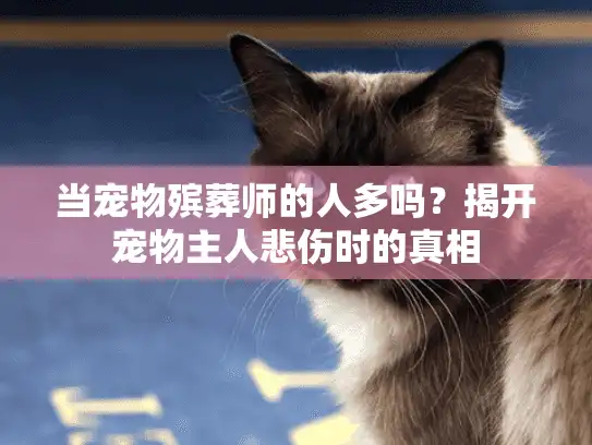 当宠物殡葬师的人多吗？揭开宠物主人悲伤时的真相