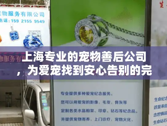 上海专业的宠物善后公司，为爱宠找到安心告别的完美方案
