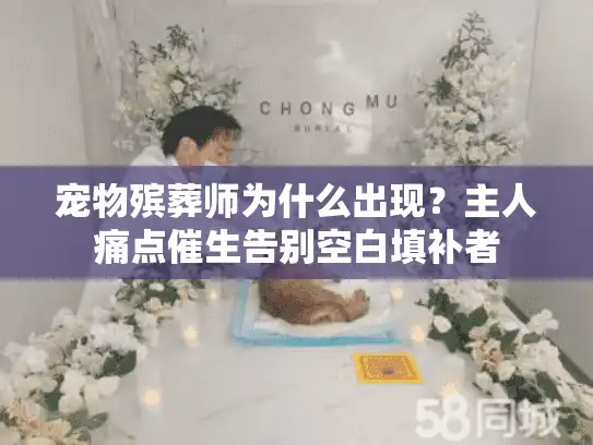 宠物殡葬师为什么出现？主人痛点催生告别空白填补者
