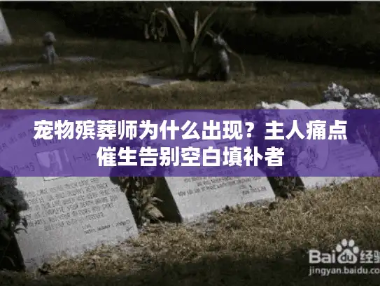 宠物殡葬师为什么出现？主人痛点催生告别空白填补者