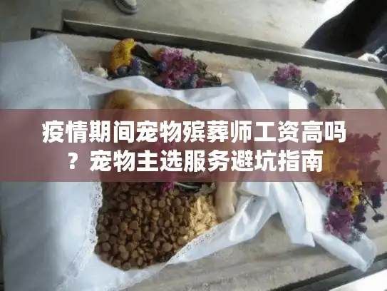 疫情期间宠物殡葬师工资高吗？宠物主选服务避坑指南