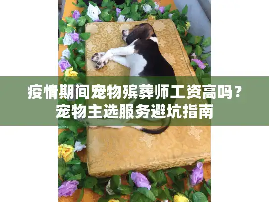 疫情期间宠物殡葬师工资高吗？宠物主选服务避坑指南
