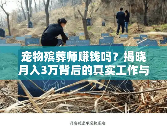 宠物殡葬师赚钱吗？揭晓月入3万背后的真实工作与情感价值