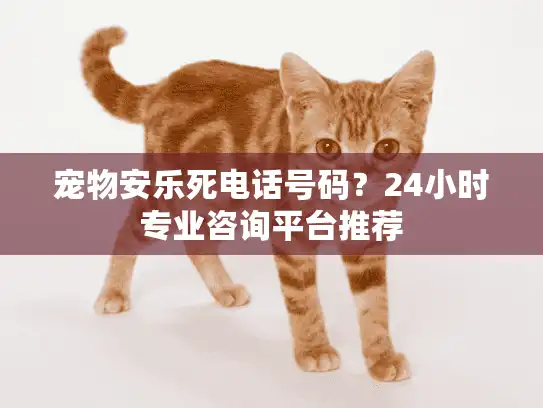 宠物安乐死电话号码？24小时专业咨询平台推荐