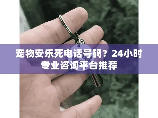 宠物安乐死电话号码？24小时专业咨询平台推荐