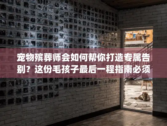 宠物殡葬师会如何帮你打造专属告别？这份毛孩子最后一程指南必须看