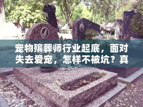宠物殡葬师行业起底，面对失去爱宠，怎样不被坑？真实选择解析