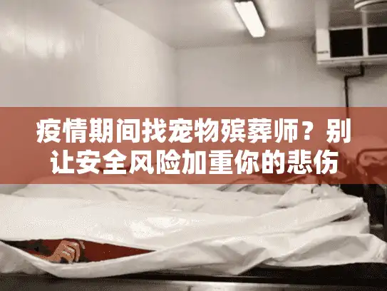 疫情期间找宠物殡葬师？别让安全风险加重你的悲伤！