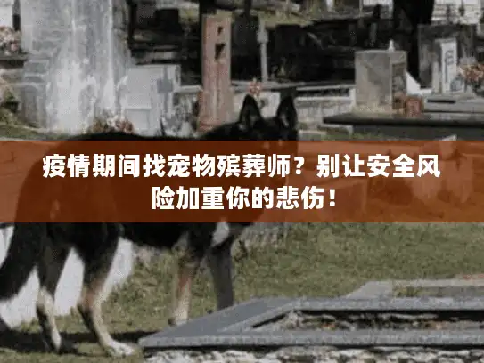 疫情期间找宠物殡葬师？别让安全风险加重你的悲伤！
