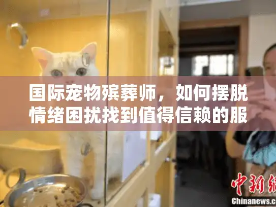 国际宠物殡葬师，如何摆脱情绪困扰找到值得信赖的服务？