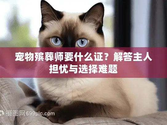 宠物殡葬师要什么证？解答主人担忧与选择难题