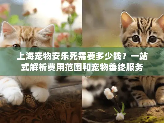 上海宠物安乐死需要多少钱？一站式解析费用范围和宠物善终服务