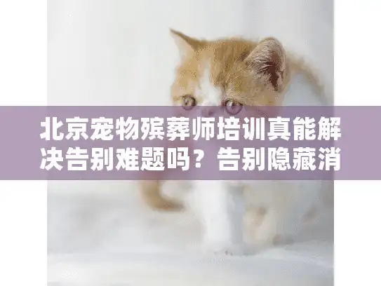 北京宠物殡葬师培训真能解决告别难题吗？告别隐藏消费与冰冷流程