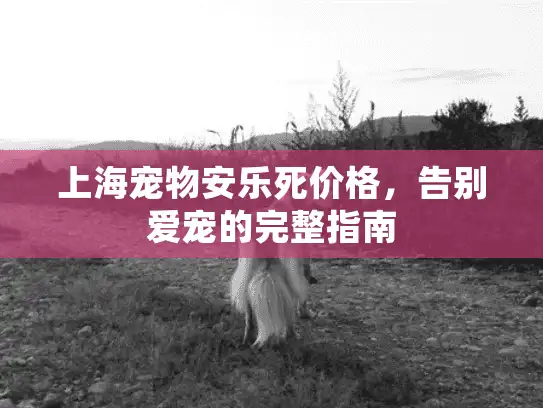 上海宠物安乐死价格，告别爱宠的完整指南