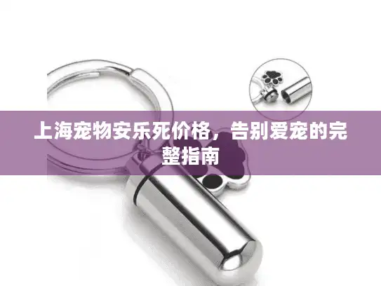 上海宠物安乐死价格，告别爱宠的完整指南