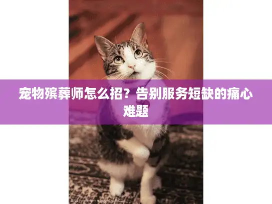 宠物殡葬师怎么招？告别服务短缺的痛心难题