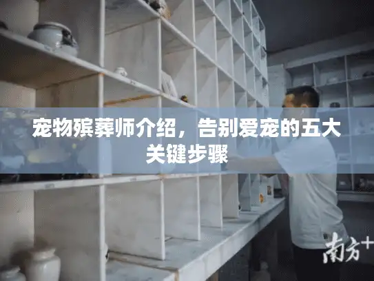 宠物殡葬师介绍，告别爱宠的五大关键步骤