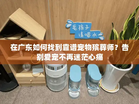 在广东如何找到靠谱宠物殡葬师？告别爱宠不再迷茫心痛