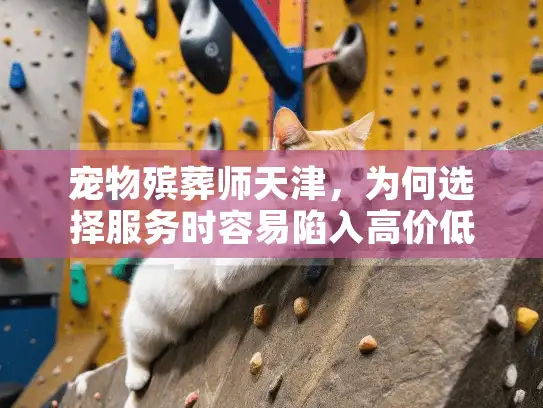 宠物殡葬师天津，为何选择服务时容易陷入高价低质陷阱？