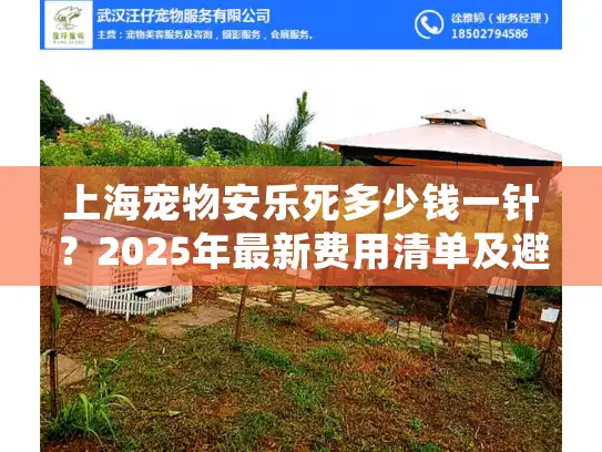 上海宠物安乐死多少钱一针？2025年最新费用清单及避坑指南