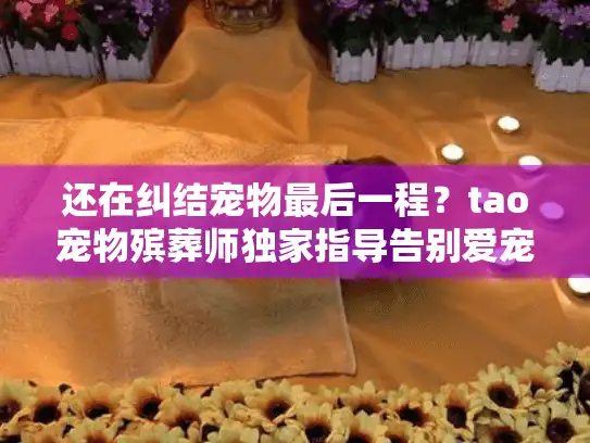 还在纠结宠物最后一程？tao宠物殡葬师独家指导告别爱宠的贴心选择