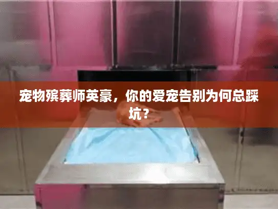 宠物殡葬师英豪，你的爱宠告别为何总踩坑？