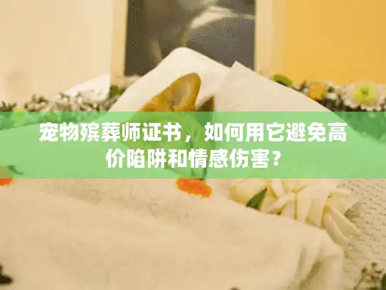 宠物殡葬师证书，如何用它避免高价陷阱和情感伤害？
