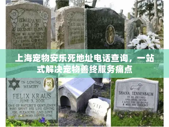 上海宠物安乐死地址电话查询，一站式解决宠物善终服务痛点