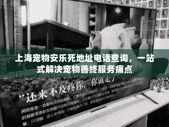 上海宠物安乐死地址电话查询，一站式解决宠物善终服务痛点