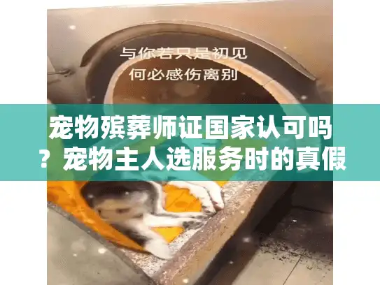 宠物殡葬师证国家认可吗？宠物主人选服务时的真假证书大揭秘