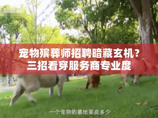 宠物殡葬师招聘暗藏玄机？三招看穿服务商专业度