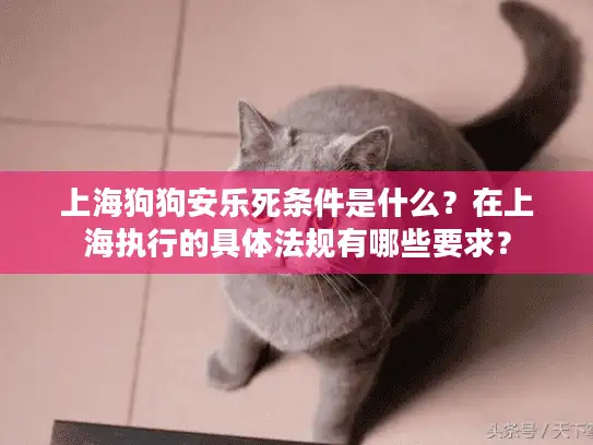 上海狗狗安乐死条件是什么？在上海执行的具体法规有哪些要求？