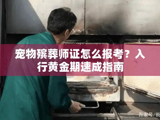 宠物殡葬师证怎么报考？入行黄金期速成指南