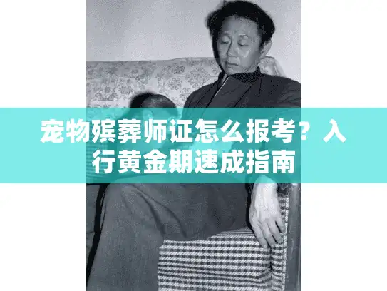 宠物殡葬师证怎么报考？入行黄金期速成指南