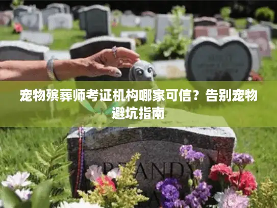 宠物殡葬师考证机构哪家可信？告别宠物避坑指南