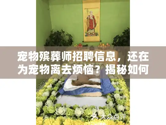 宠物殡葬师招聘信息，还在为宠物离去烦恼？揭秘如何选择贴心服务