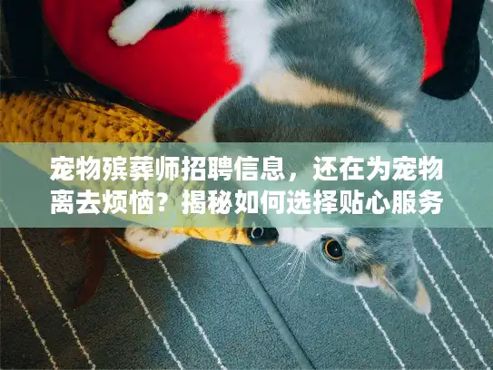 宠物殡葬师招聘信息，还在为宠物离去烦恼？揭秘如何选择贴心服务