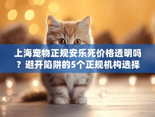 上海宠物正规安乐死价格透明吗？避开陷阱的5个正规机构选择指南