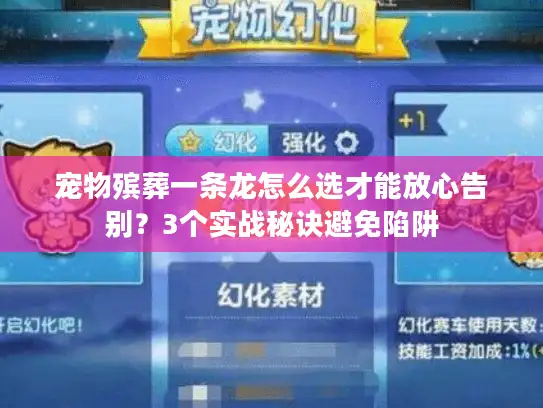 宠物殡葬一条龙怎么选才能放心告别？3个实战秘诀避免陷阱
