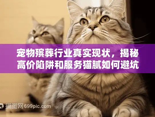宠物殡葬行业真实现状，揭秘高价陷阱和服务猫腻如何避坑？