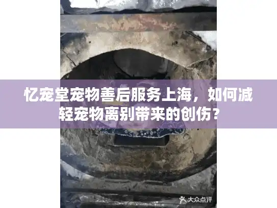 忆宠堂宠物善后服务上海，如何减轻宠物离别带来的创伤？