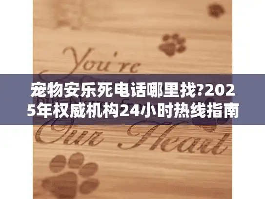 宠物安乐死电话哪里找?2025年权威机构24小时热线指南