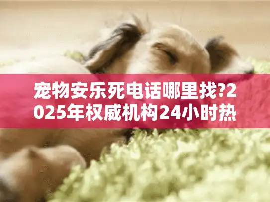 宠物安乐死电话哪里找?2025年权威机构24小时热线指南