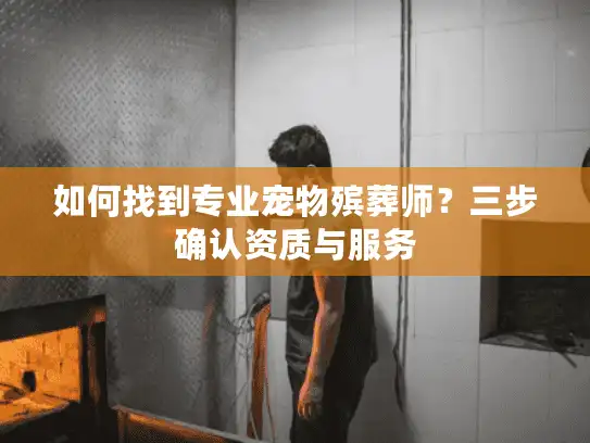 如何找到专业宠物殡葬师？三步确认资质与服务