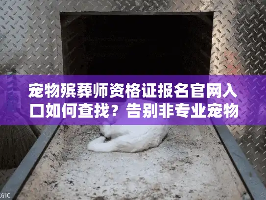 宠物殡葬师资格证报名官网入口如何查找？告别非专业宠物告别服务烦恼