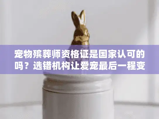 宠物殡葬师资格证是国家认可的吗？选错机构让爱宠最后一程变噩梦！