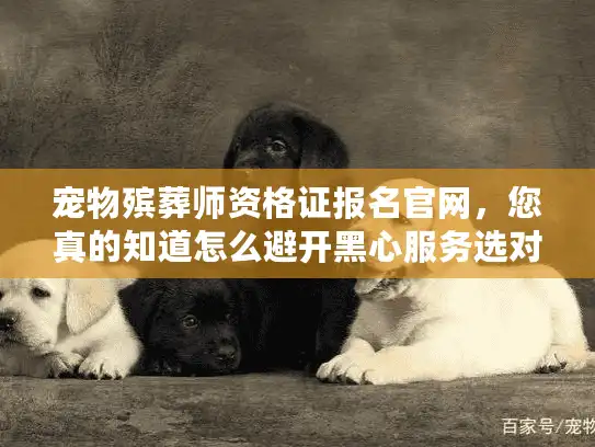 宠物殡葬师资格证报名官网，您真的知道怎么避开黑心服务选对专业机构吗？