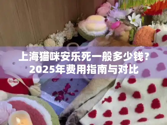 上海猫咪安乐死一般多少钱？2025年费用指南与对比