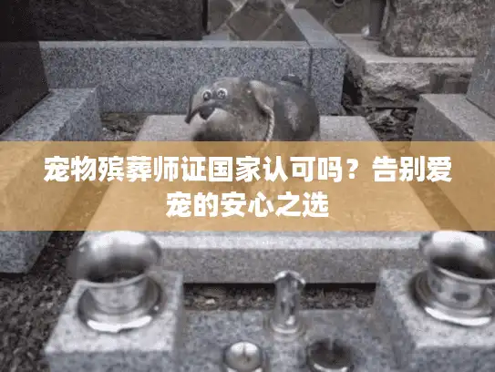 宠物殡葬师证国家认可吗？告别爱宠的安心之选